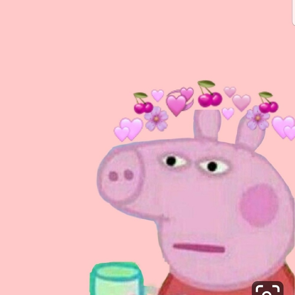 Meet your Posher, Gianna